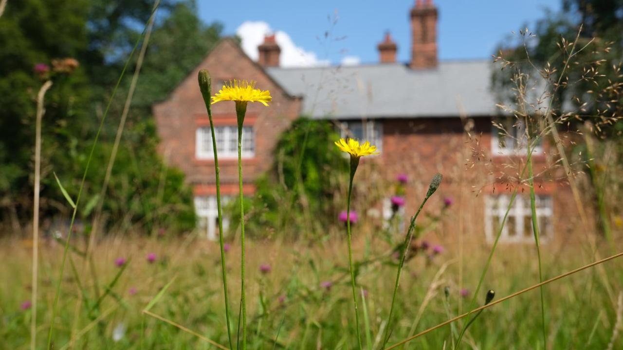 Beech Hill B&B Weaverham Eksteriør bilde
